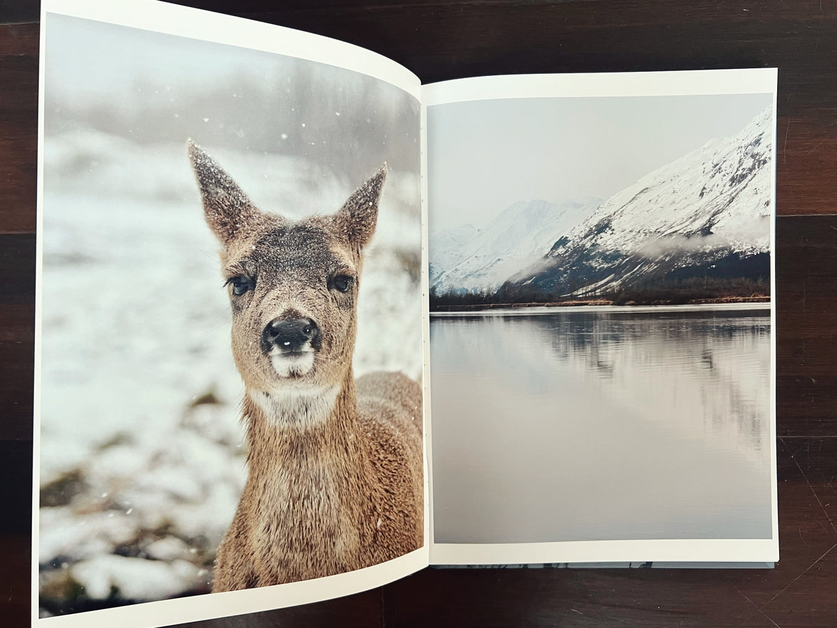 Wild Alaska: Views From The North Cover No. 2