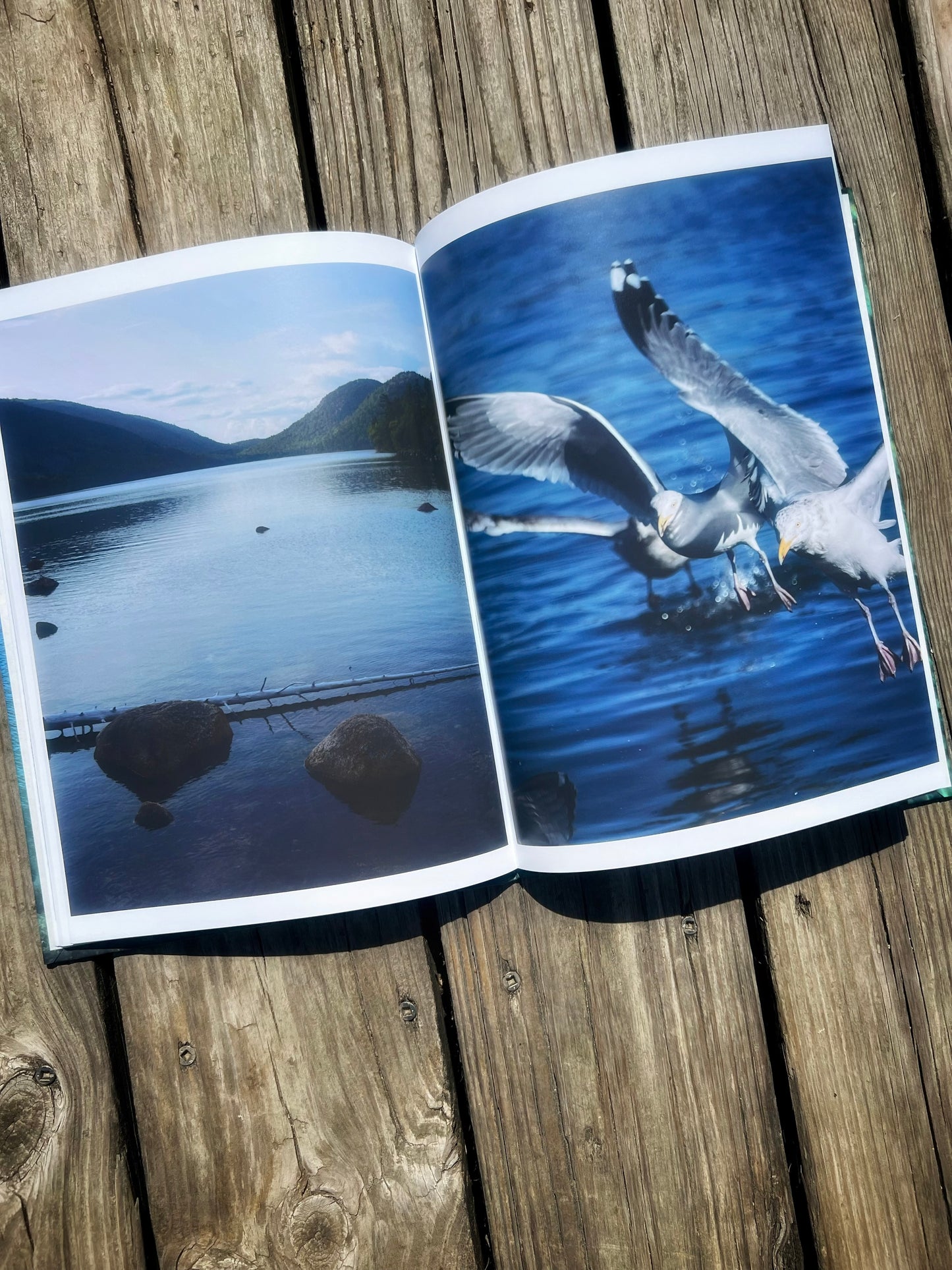 Echoes Of The Atlantic: A Visual Celebration Of Maine's Coast