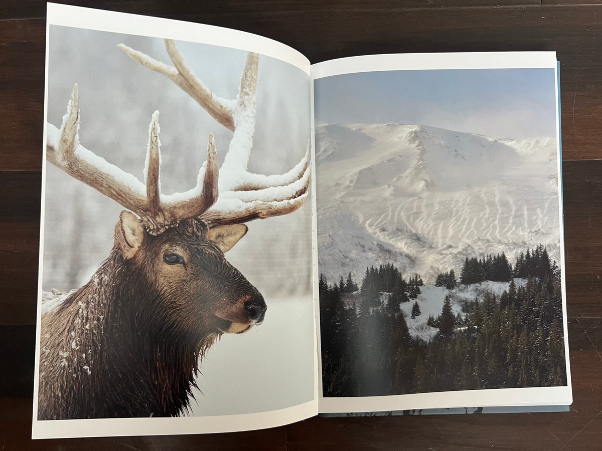 Wild Alaska: Views From The North Cover No. 2