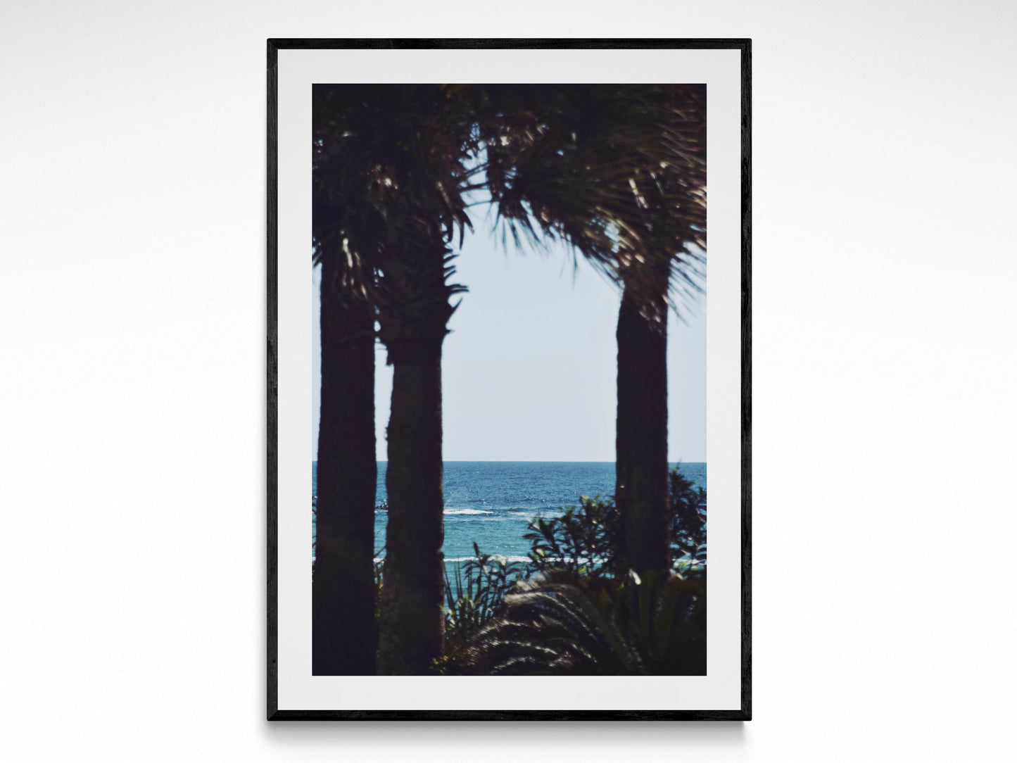 Palm Tree Escape