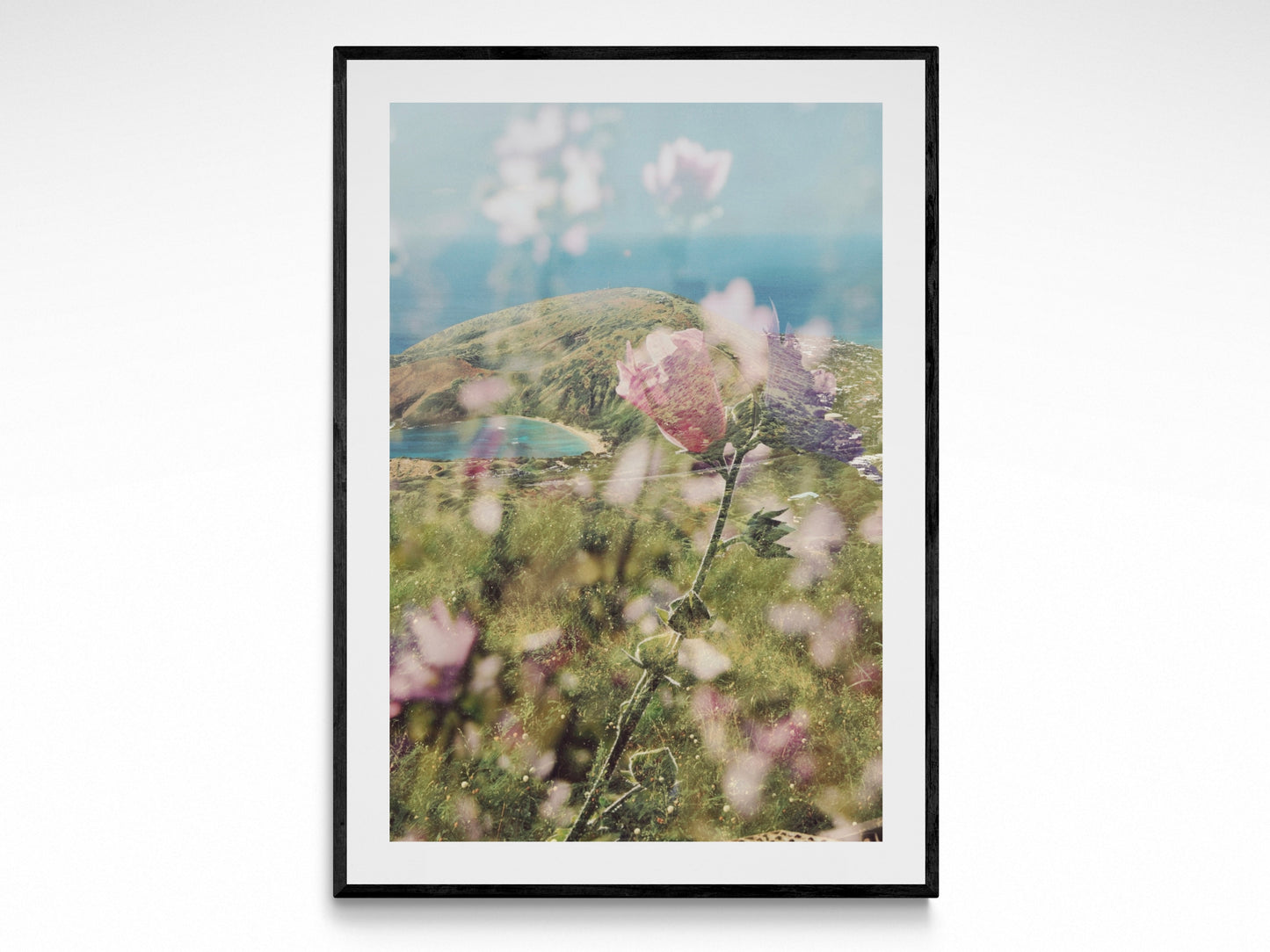 Oahu Flora