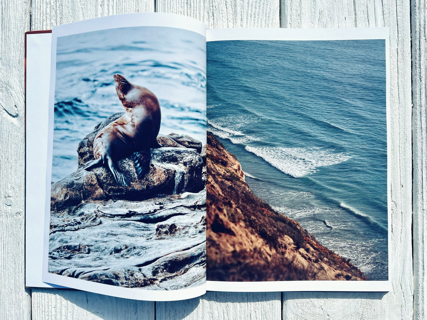 San Diego Sun: A West Coast Collection | Coffee Table Photography Book By Jessica Joy