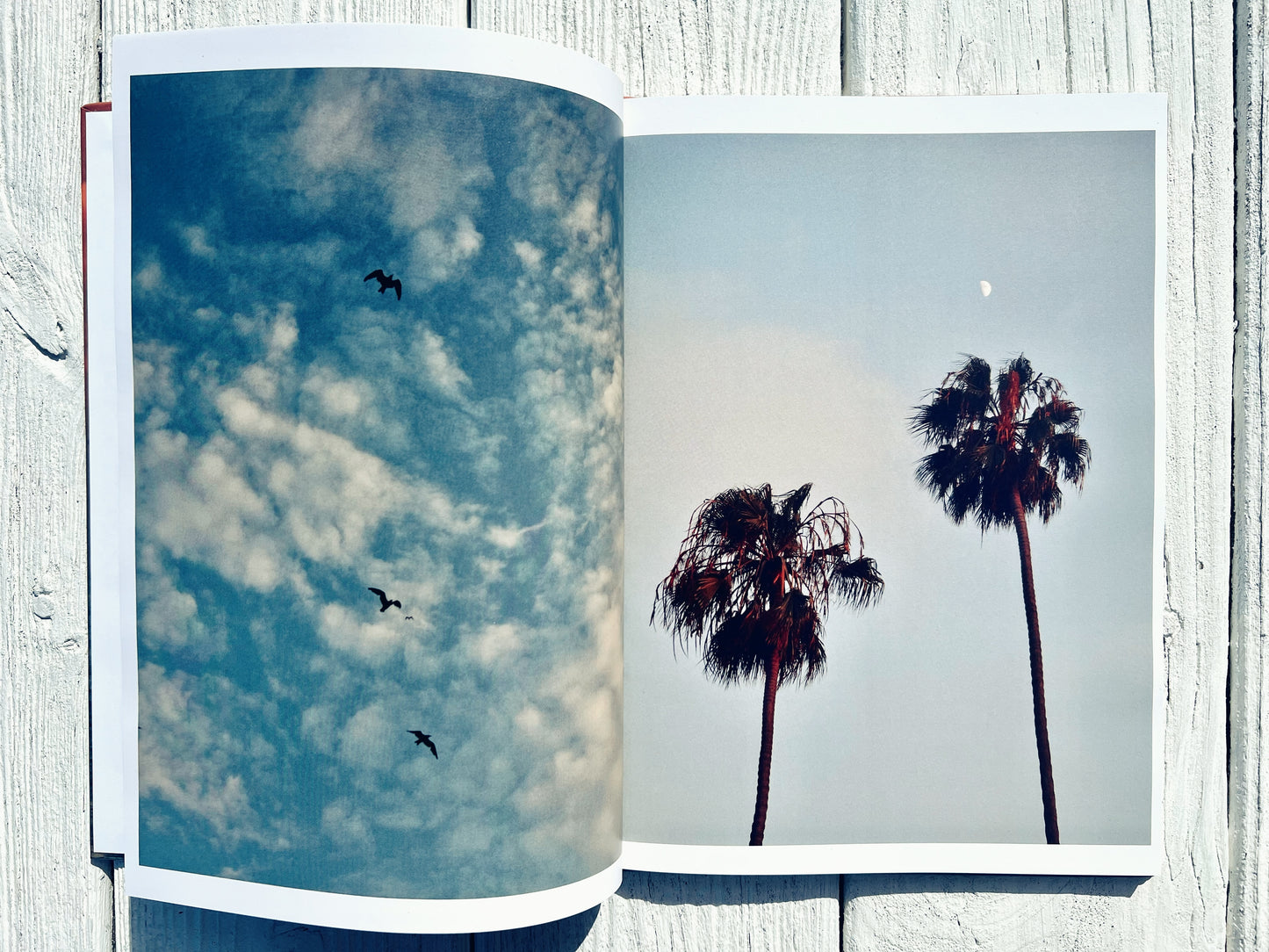 San Diego Sun: A West Coast Collection | Coffee Table Photography Book By Jessica Joy