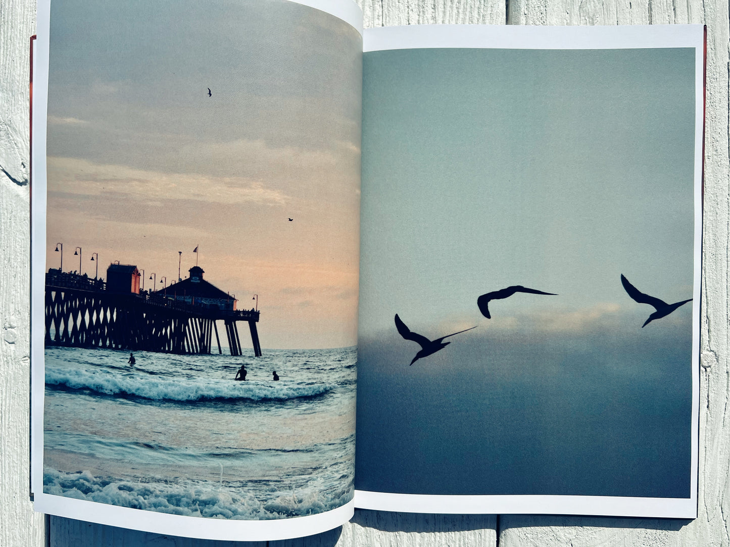 San Diego Sun: A West Coast Collection | Coffee Table Photography Book By Jessica Joy