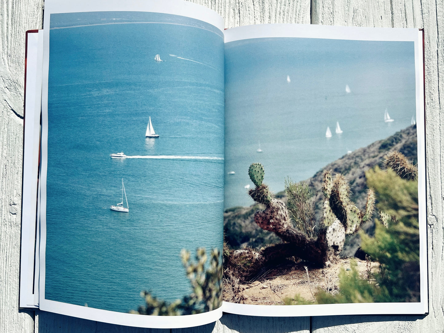 San Diego Sun: A West Coast Collection | Coffee Table Photography Book By Jessica Joy