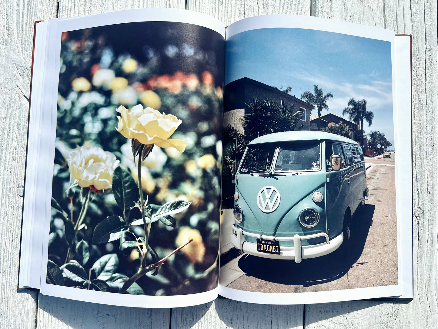 San Diego Sun: A West Coast Collection | Coffee Table Photography Book By Jessica Joy
