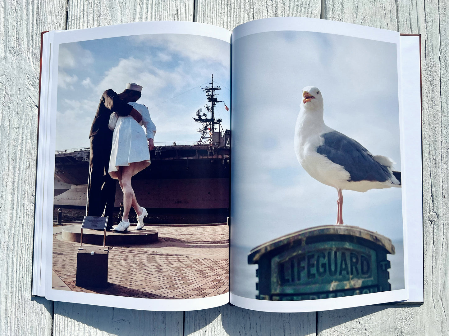 San Diego Sun: A West Coast Collection | Coffee Table Photography Book By Jessica Joy