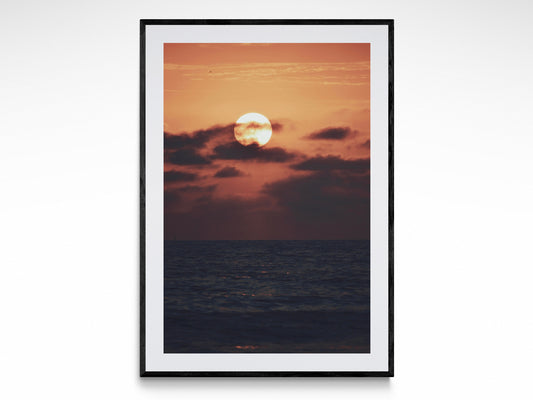 Sunset Tropics