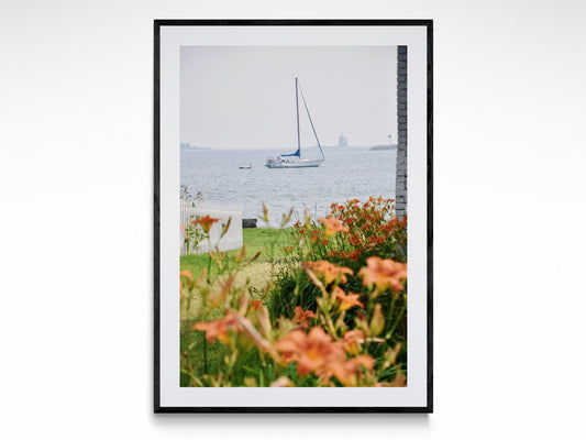 Sail Summer