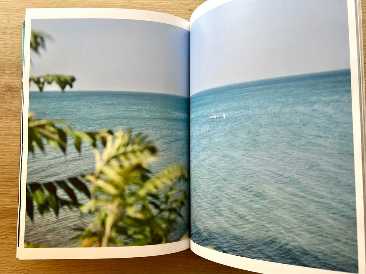 Chicago Shores: Refections Of The Windy City