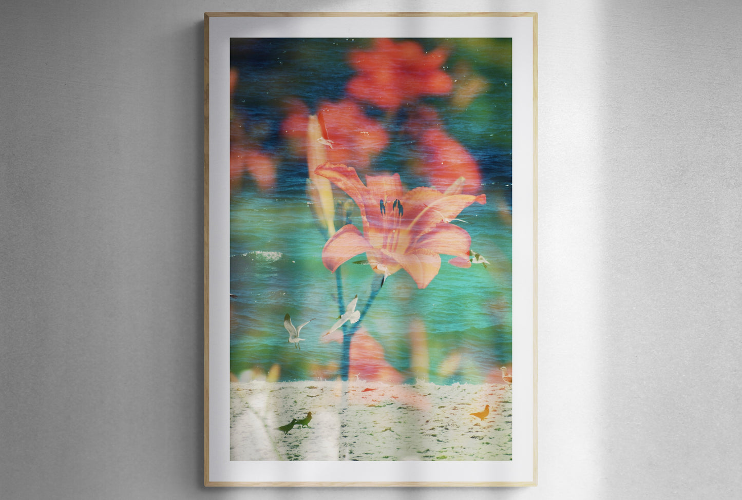 Tiger Lily Coast