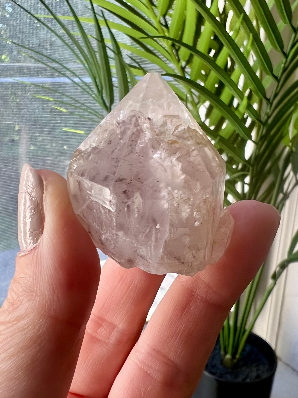 Natural Garden Ghost Quartz Crystal Set
