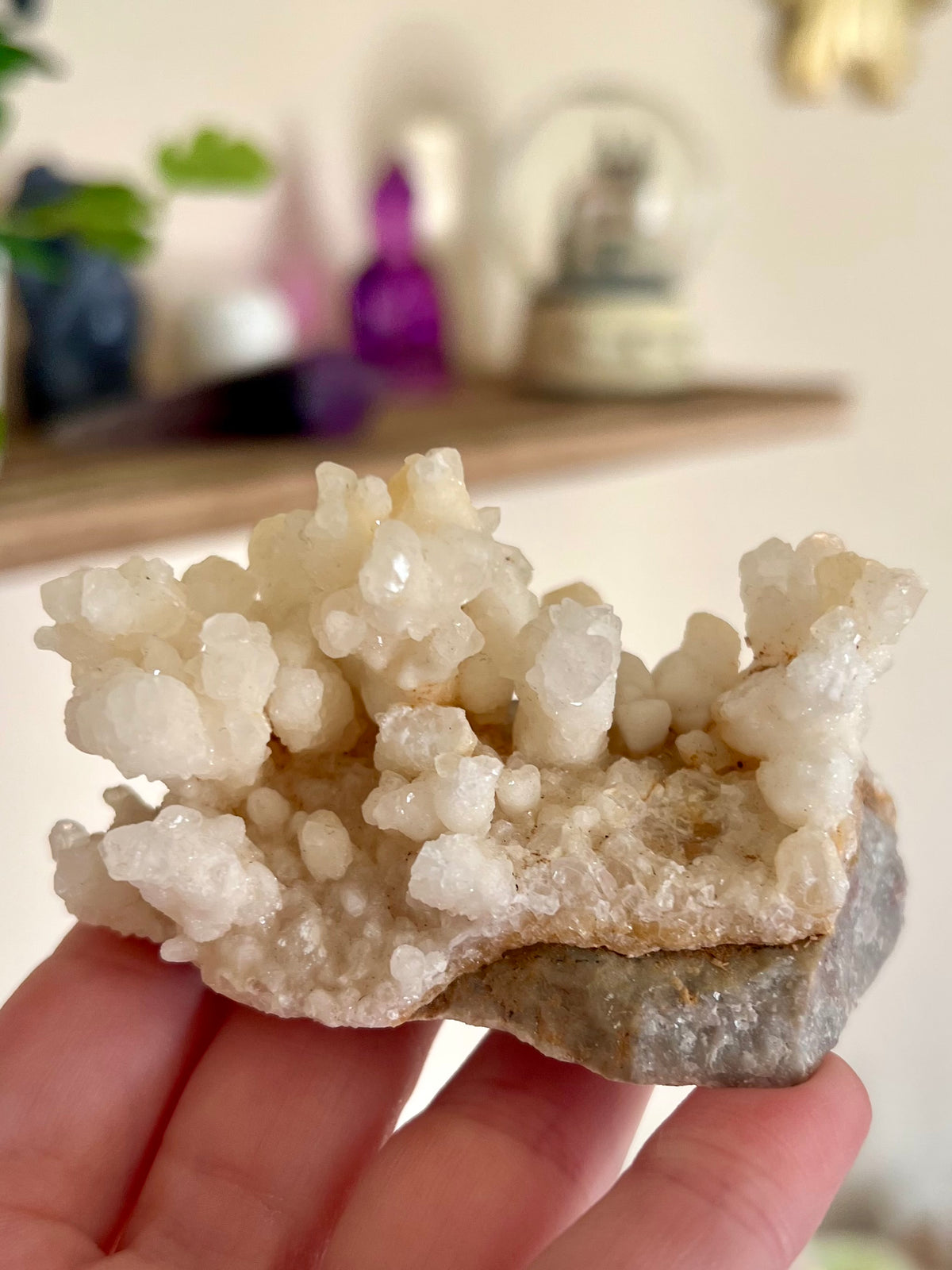 Druzy Coral Calcite Quartz Cluster