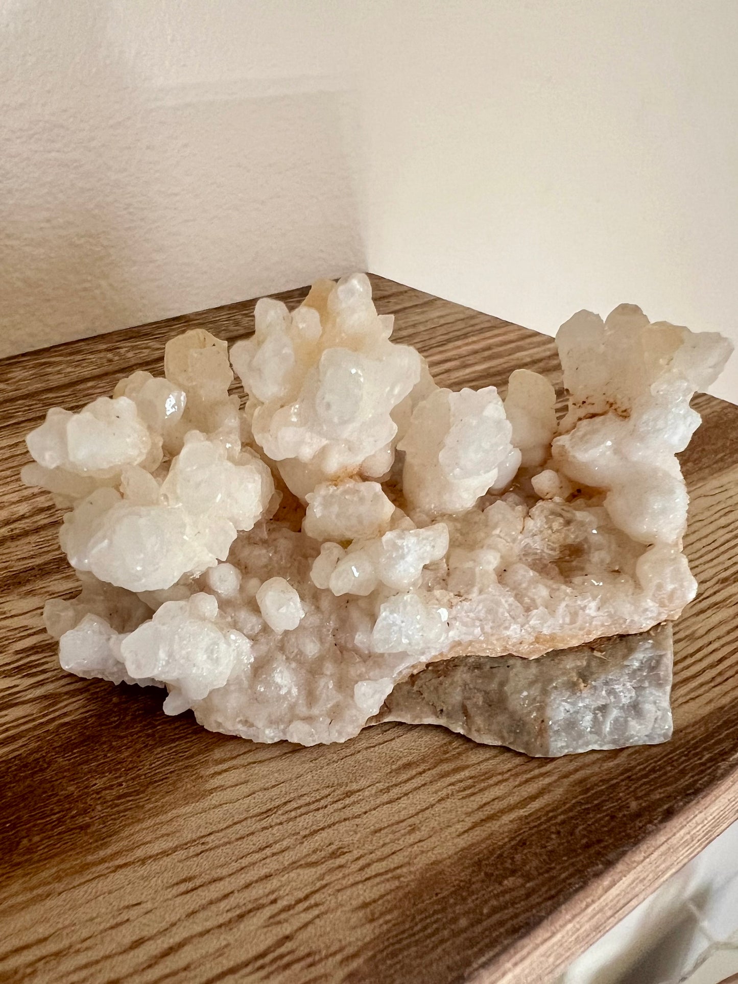 Druzy Coral Calcite Quartz Cluster