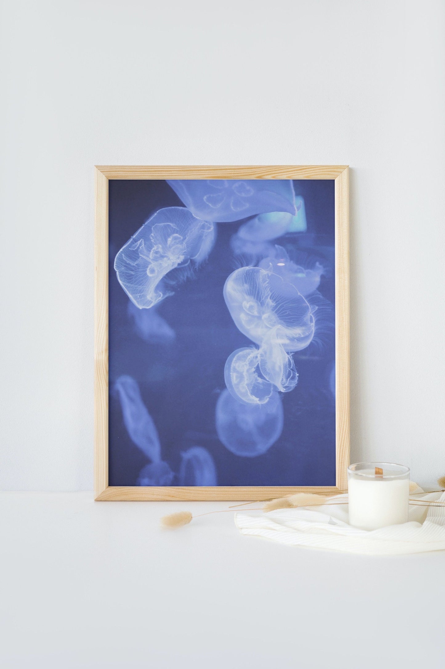 Ocean Jellyfish