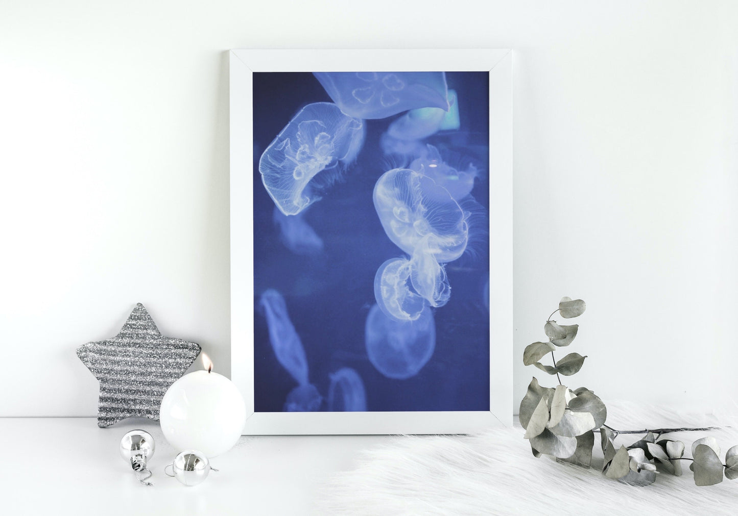 Ocean Jellyfish