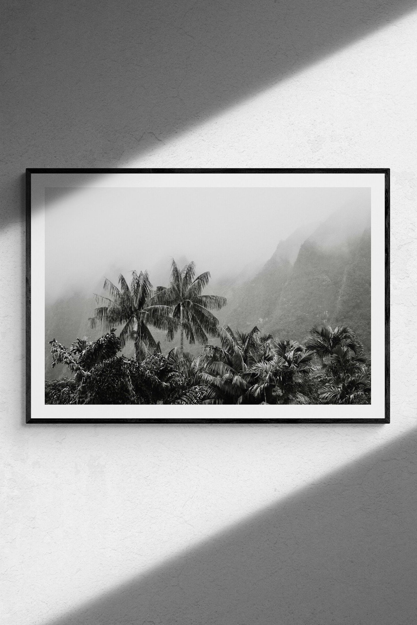 Tropical Vintage Palm