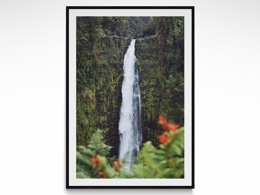 Rainforest Waterfall