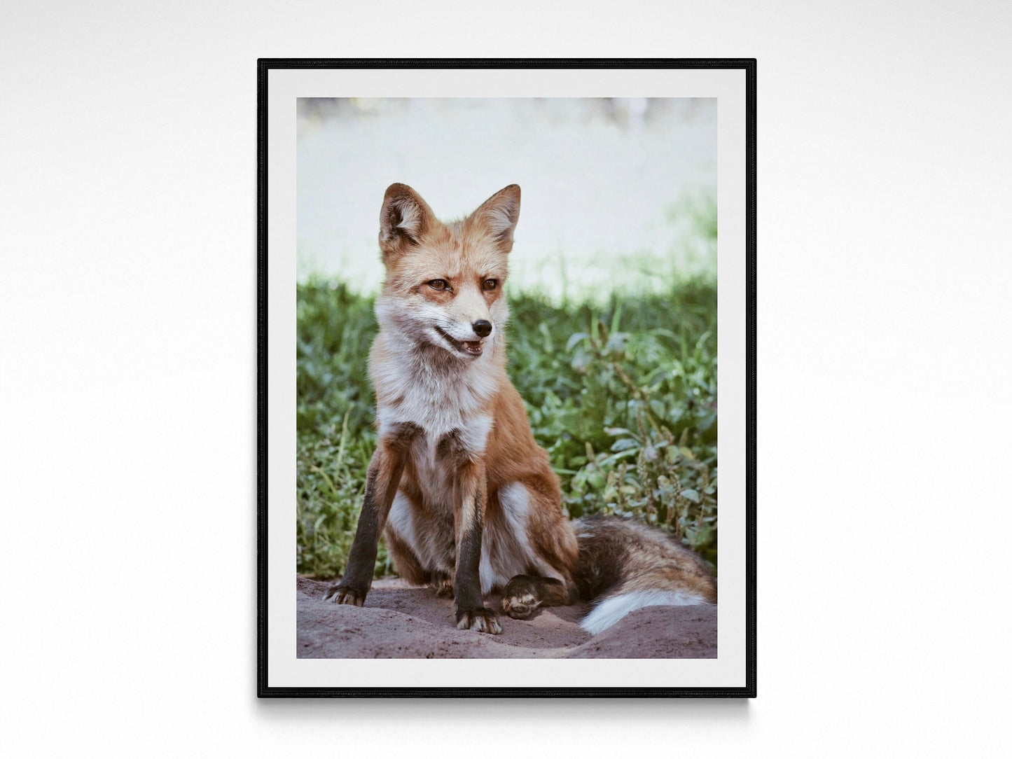 Rustic Wild Fox