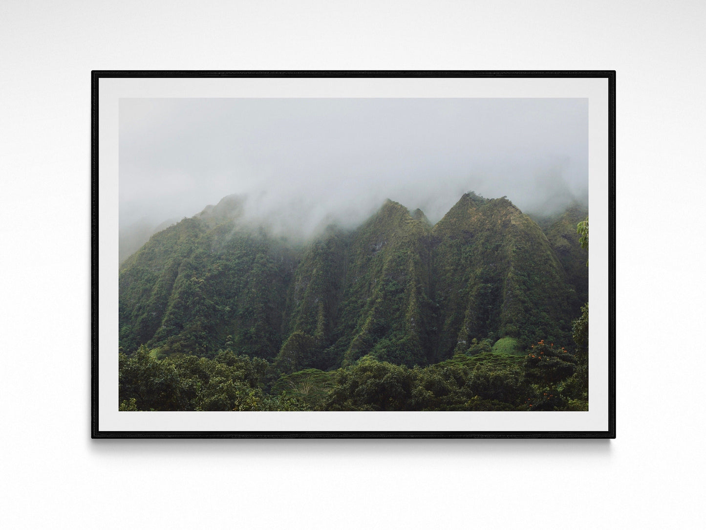 Oahu Foggy Mountains Escape