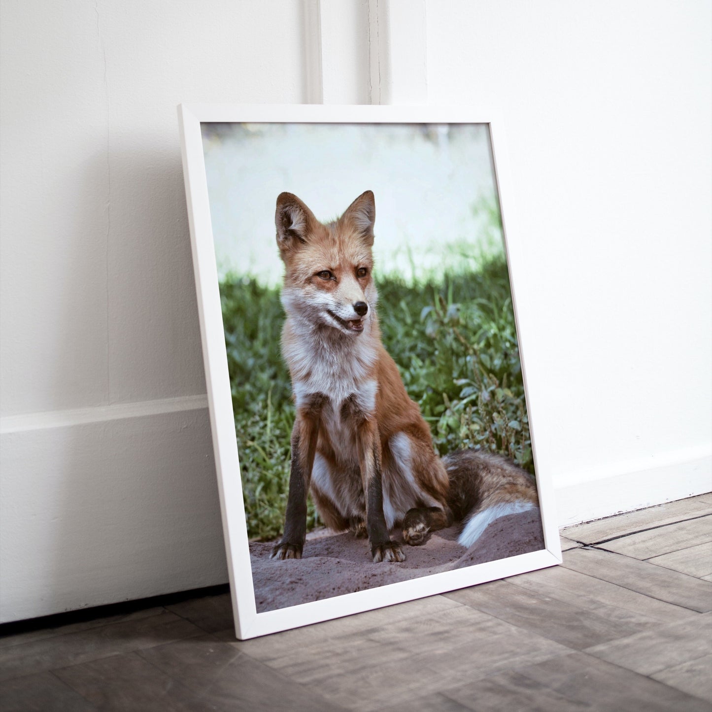 Rustic Wild Fox