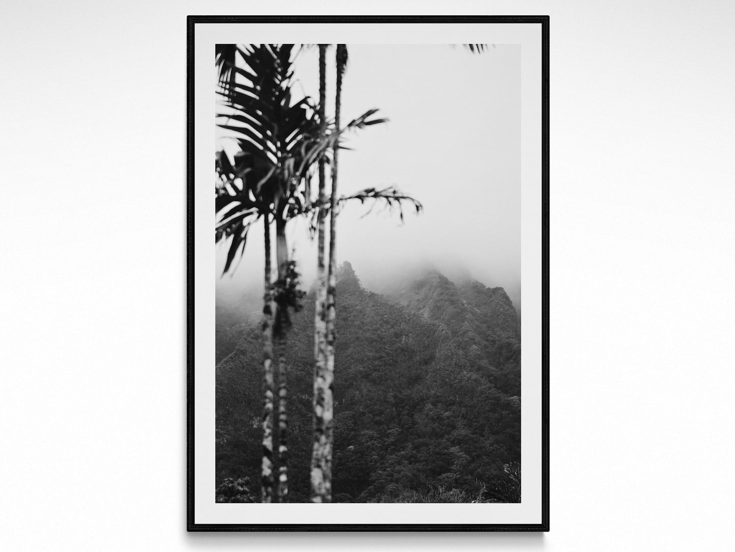 Oahu Fog