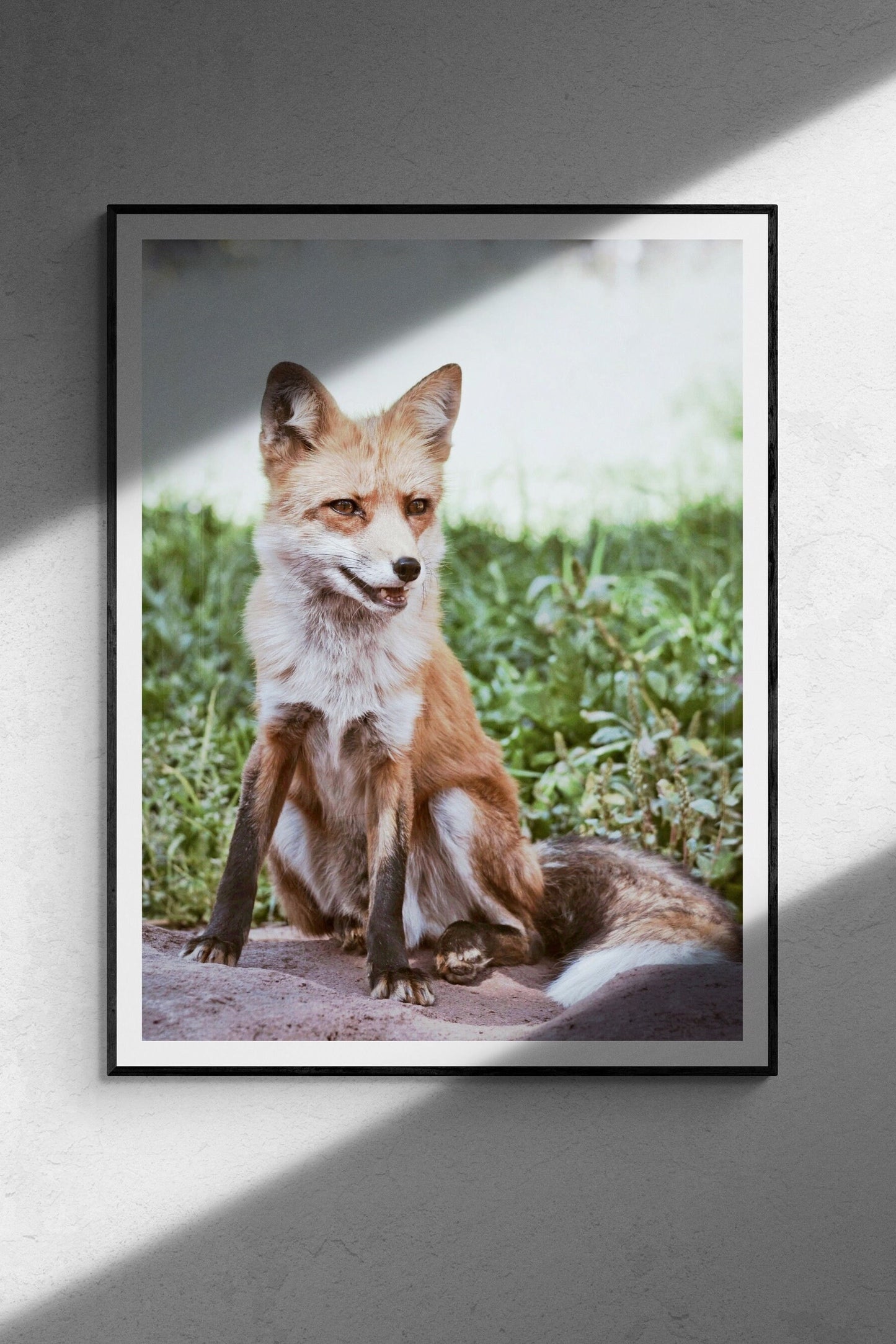 Rustic Wild Fox