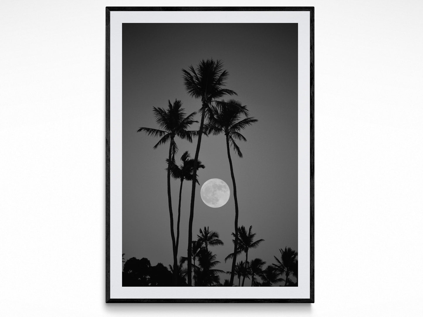 Palm Tree Luna