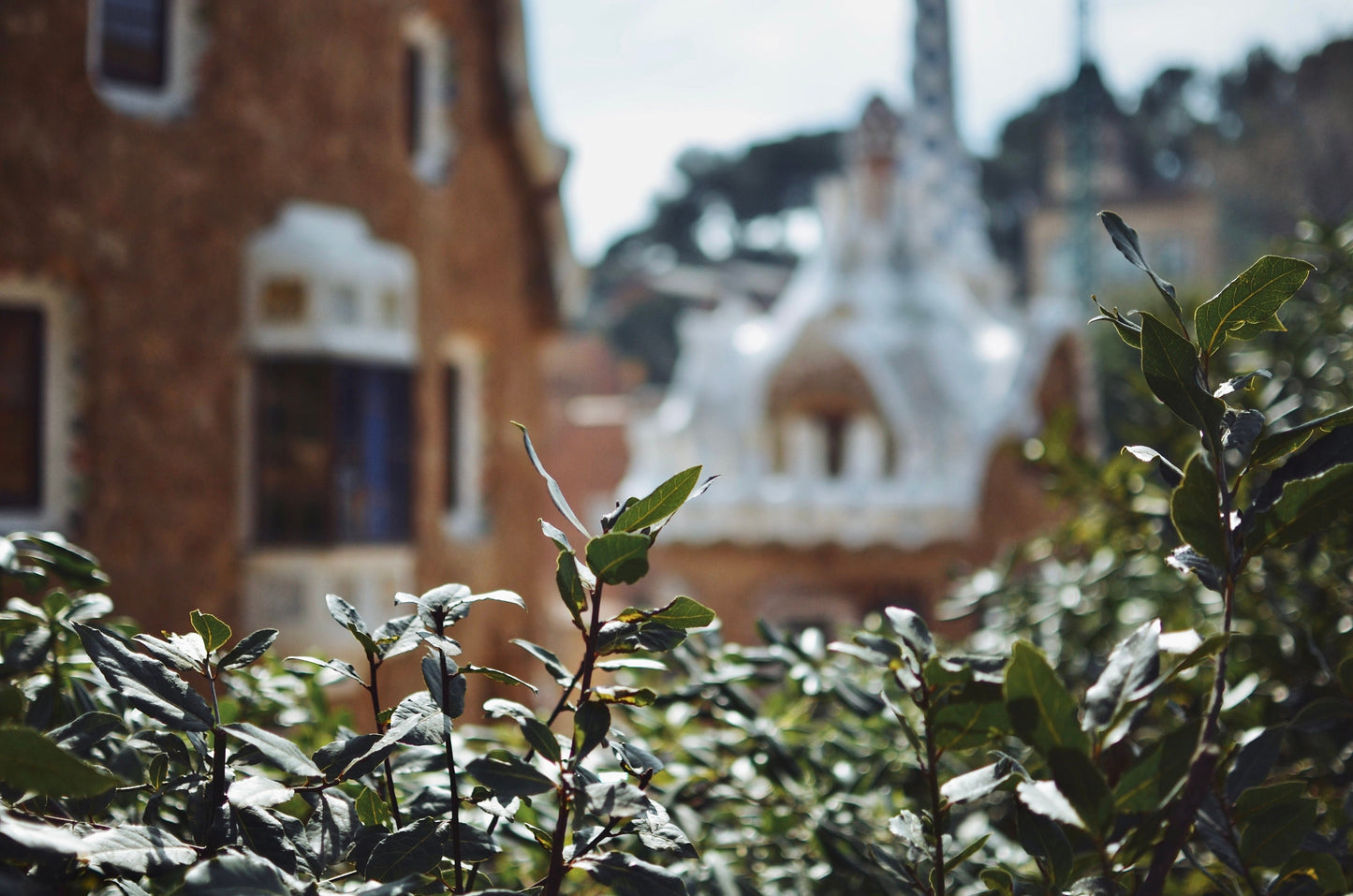 Park Güell Barcelona