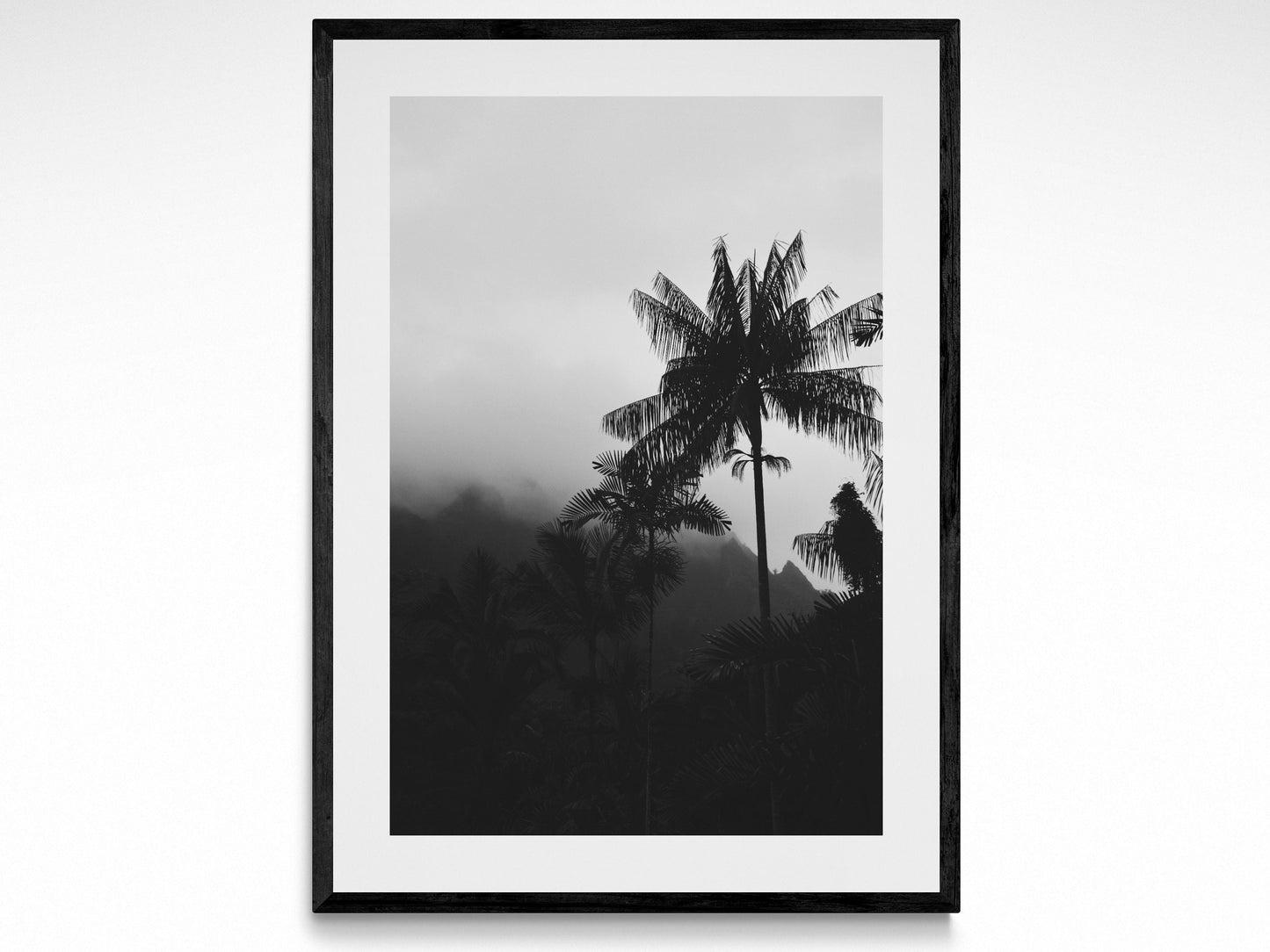 Black & White Palms