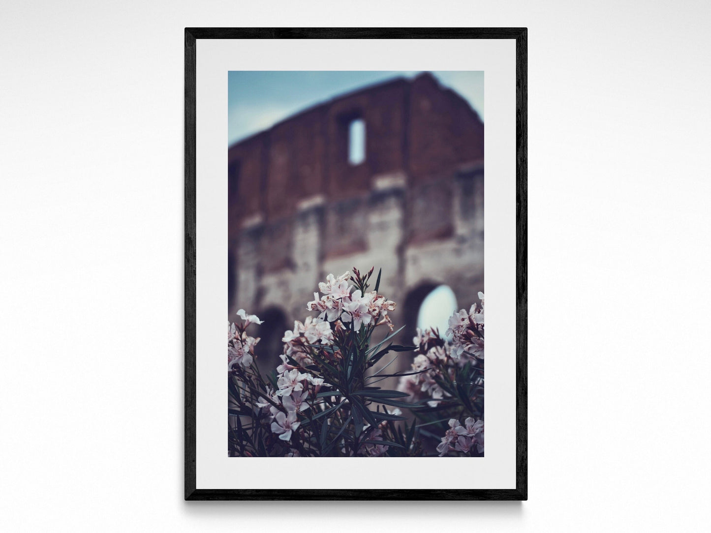 Colosseum Flowers