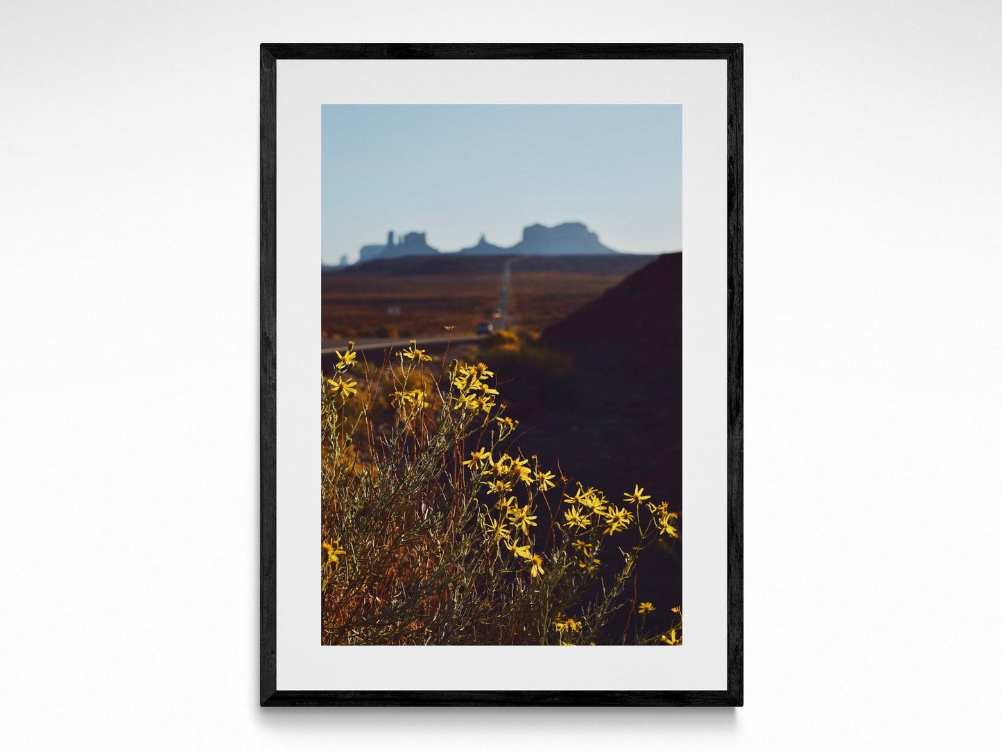 Monument Valley Flowers