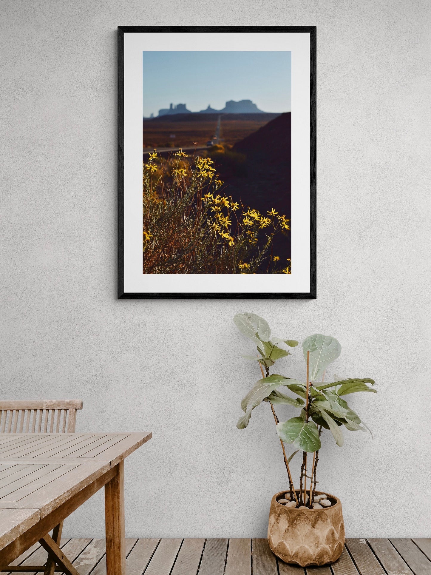 Monument Valley Flowers