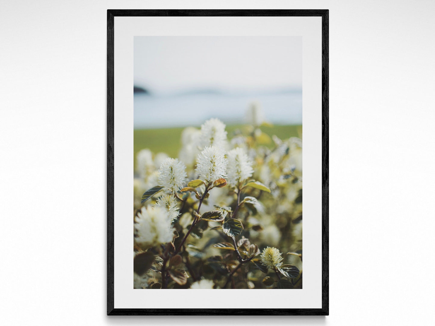 Seaside Spring Flowers