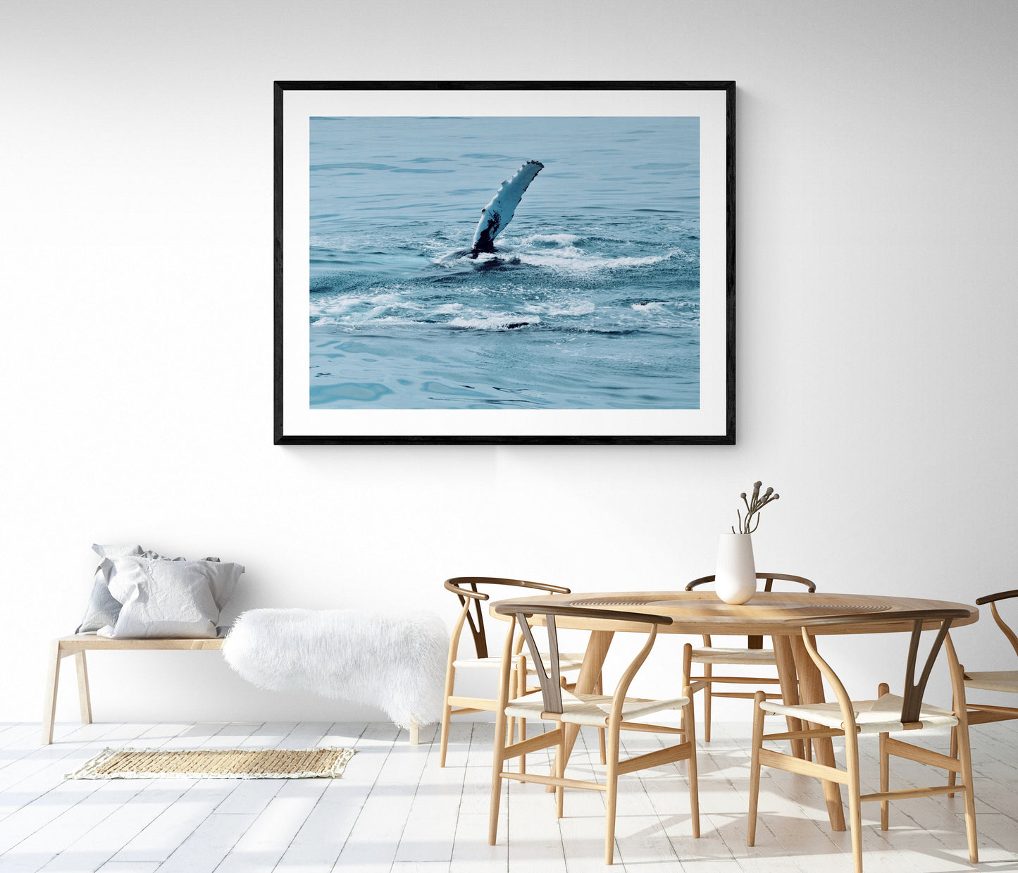 Maine Humpback Whale