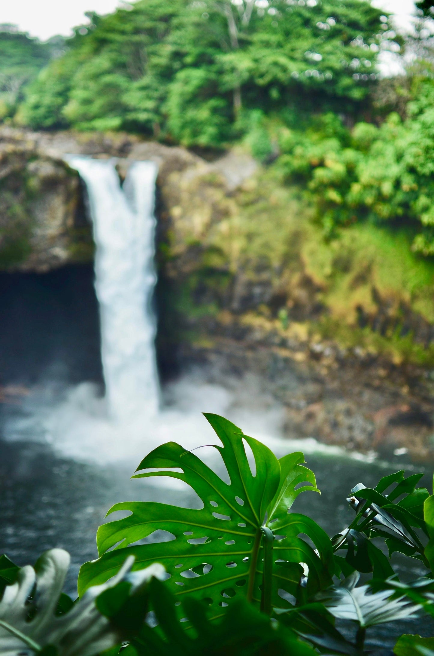 Lush Waterfall Dreams