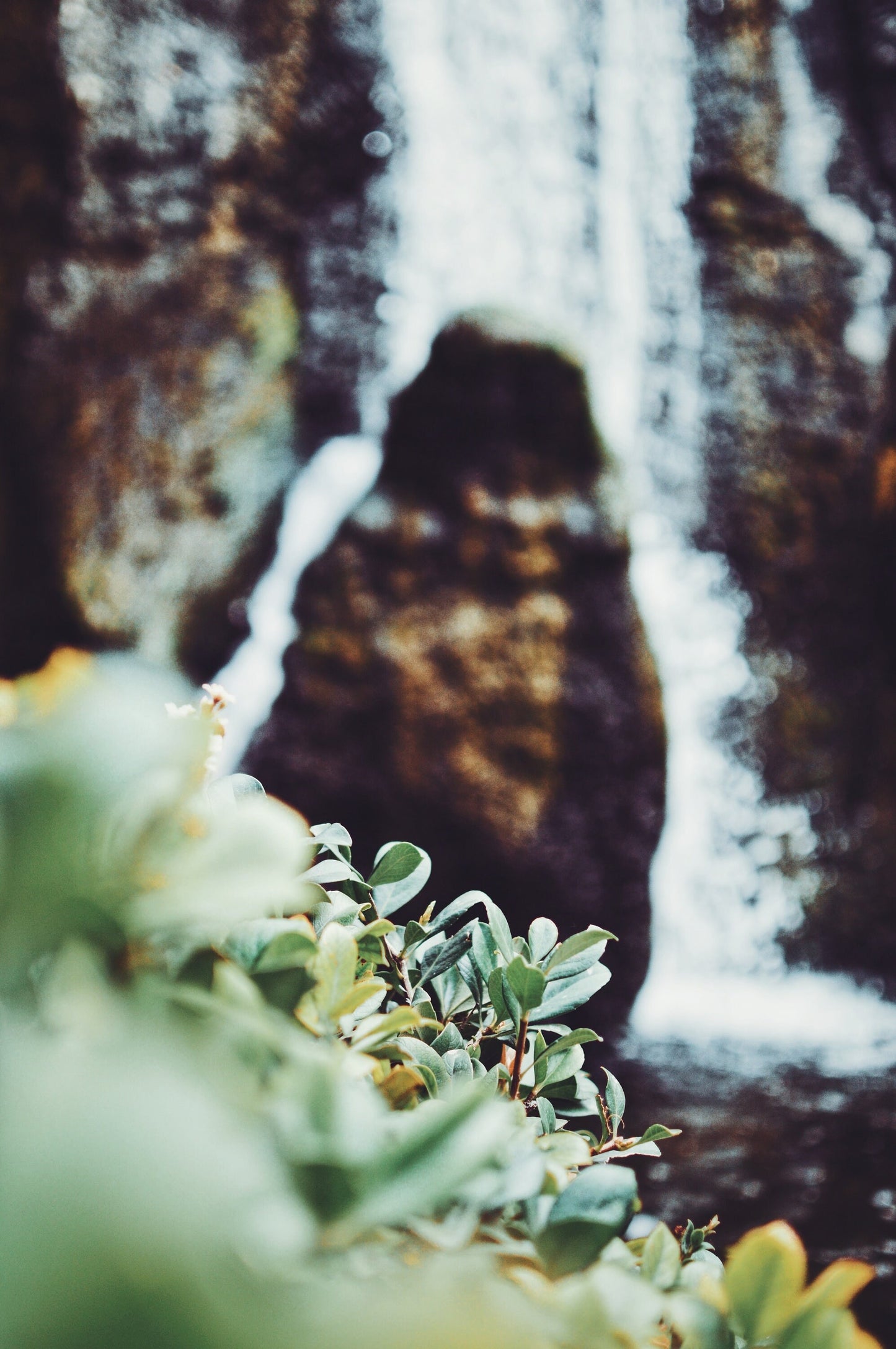 Honolulu Waterfall