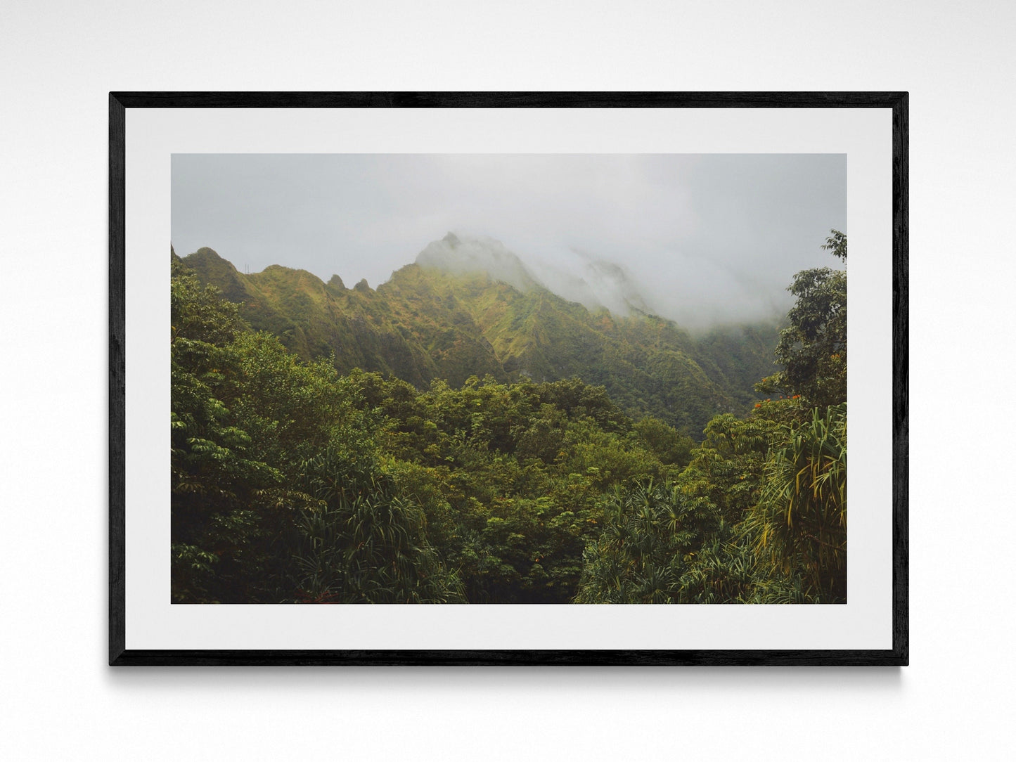 Hawaiian Misty Mountains