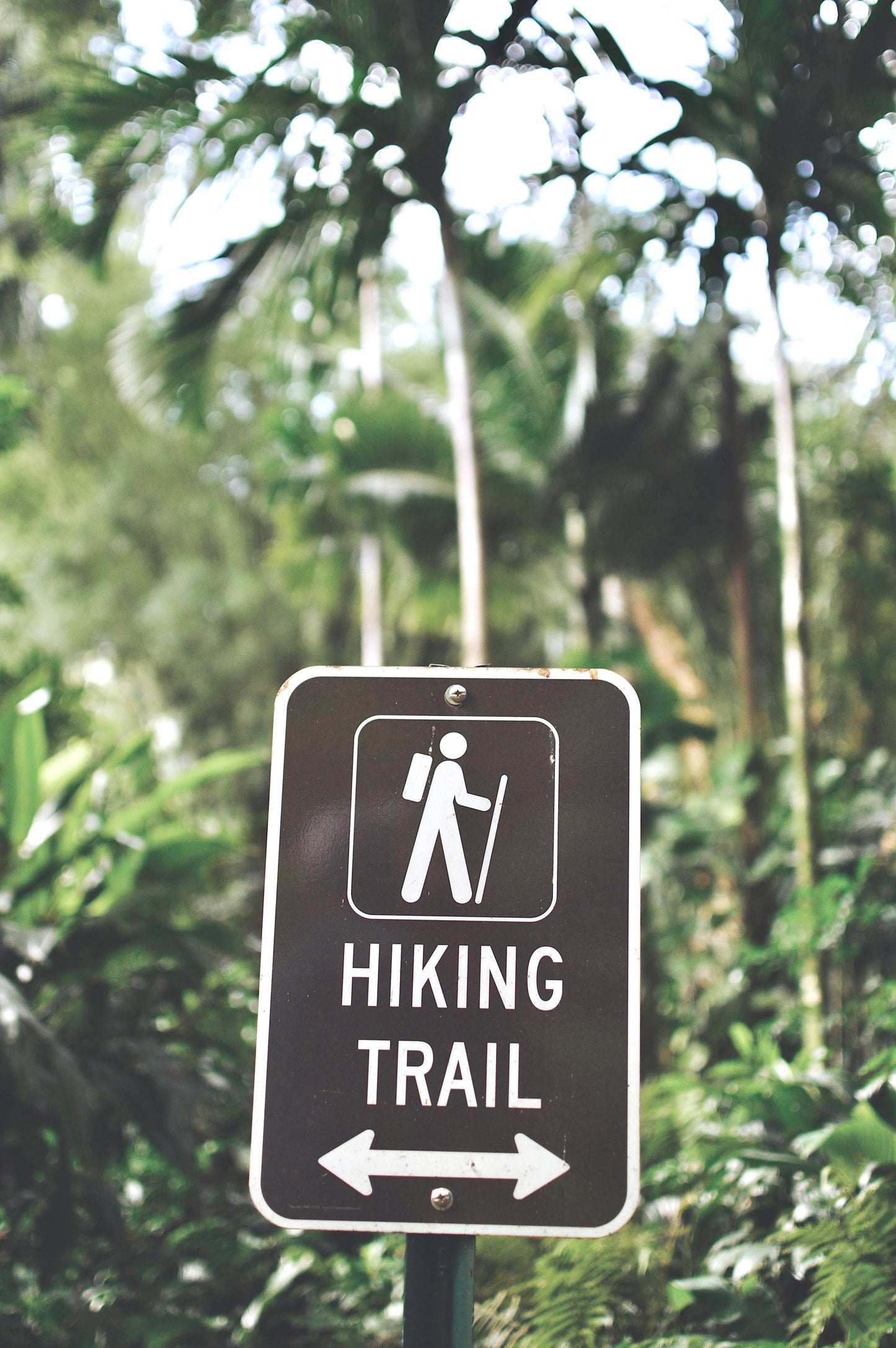 Hiking Trail Sign