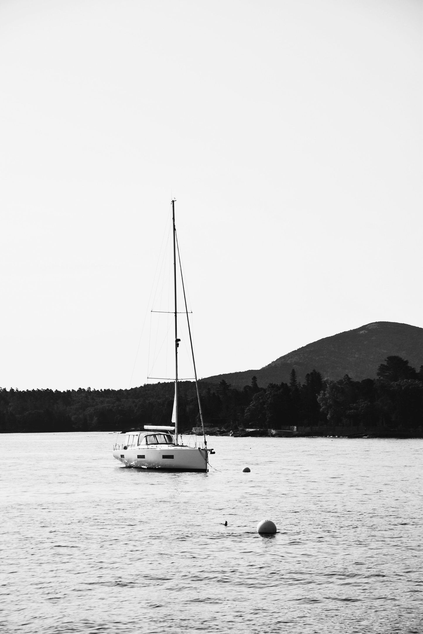 Sailboat In Maine Ocean