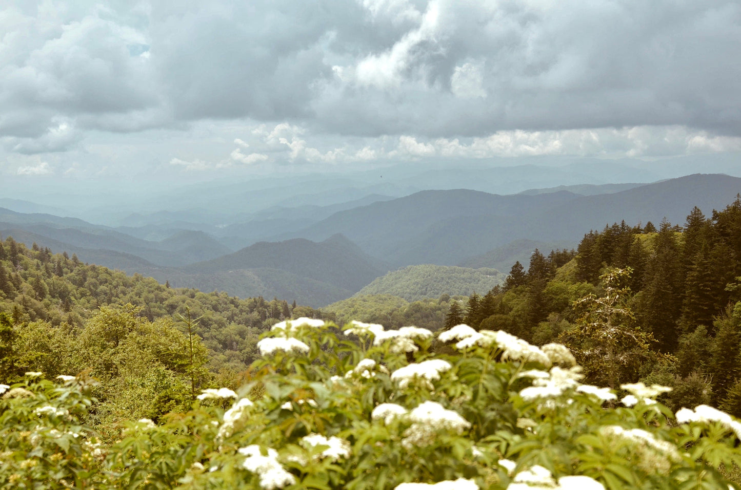 Smoky Mountains Tennessee