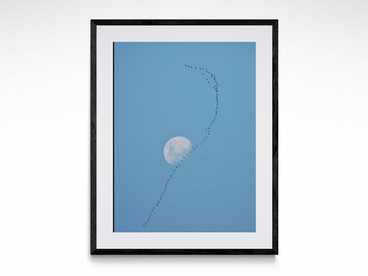 Fly Over The Moon