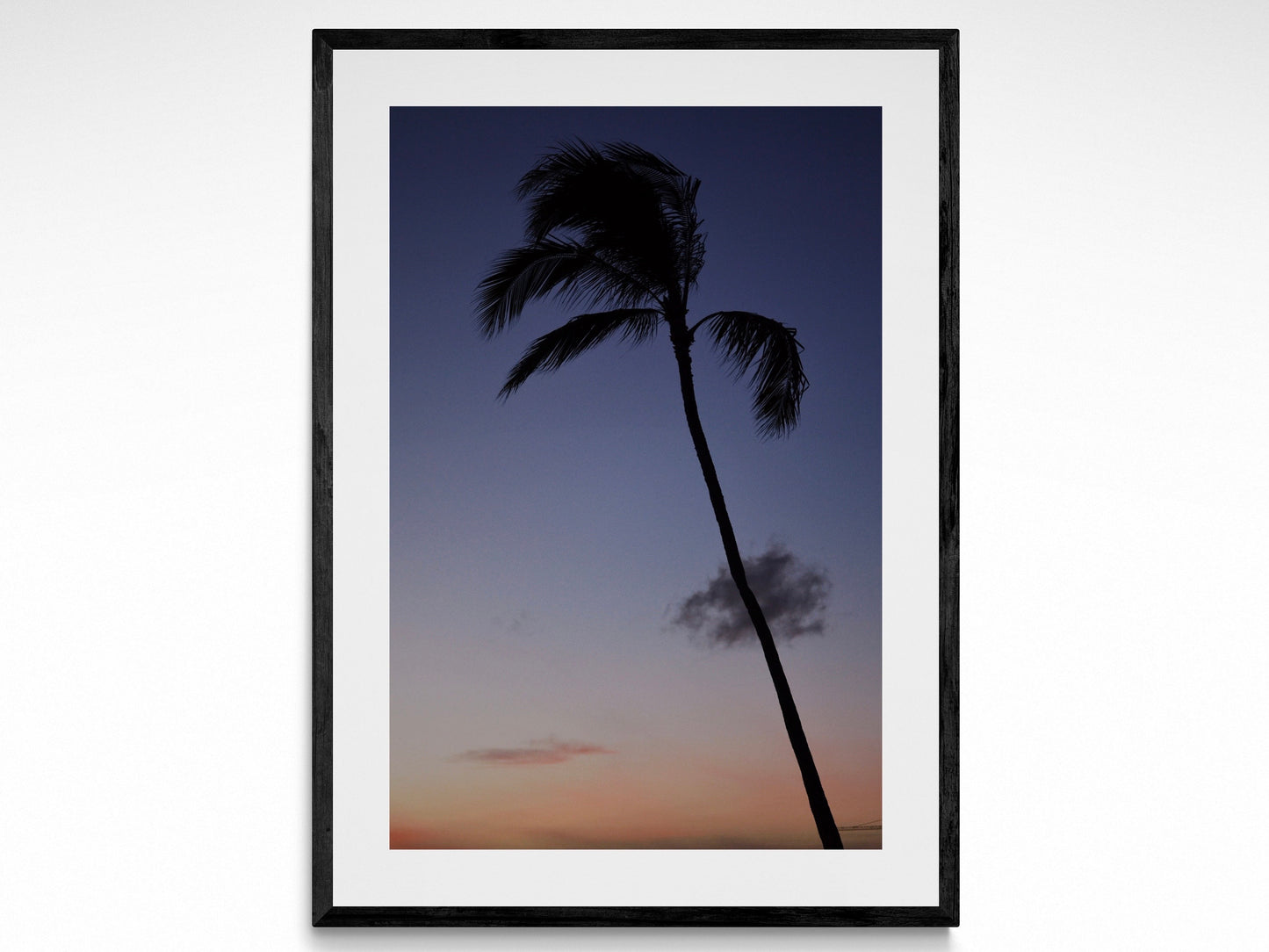 Palm Tree Sunset