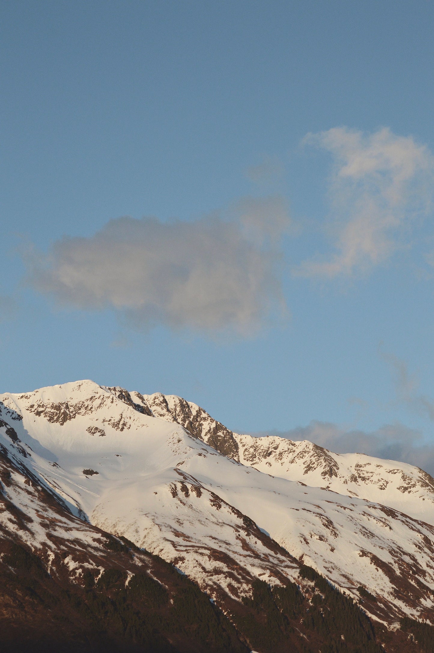 Snowy Mountain Wilderness