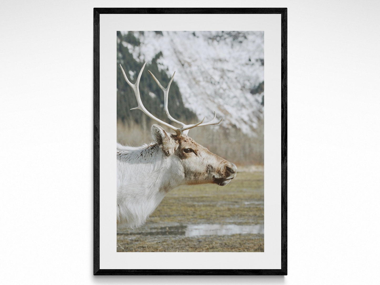 Rustic Reindeer