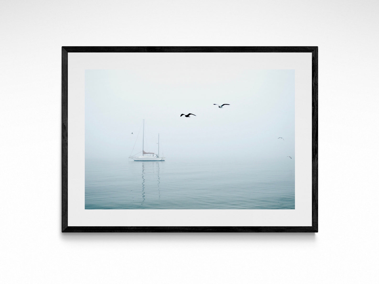 Seagulls In Ocean Fog