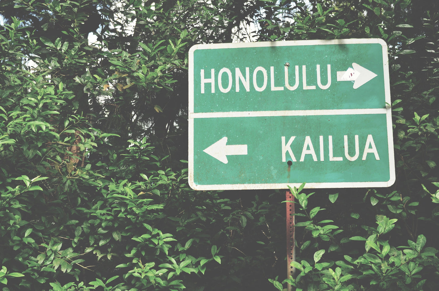 Vintage Honolulu Sign