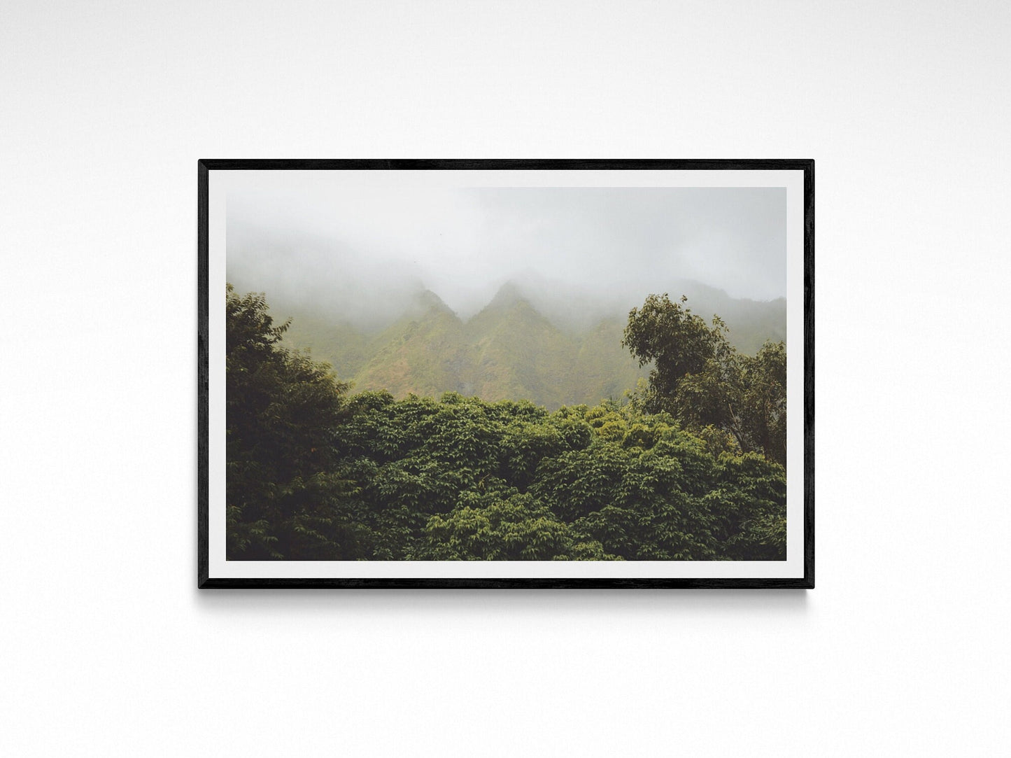 Rainforest Mountain Mist