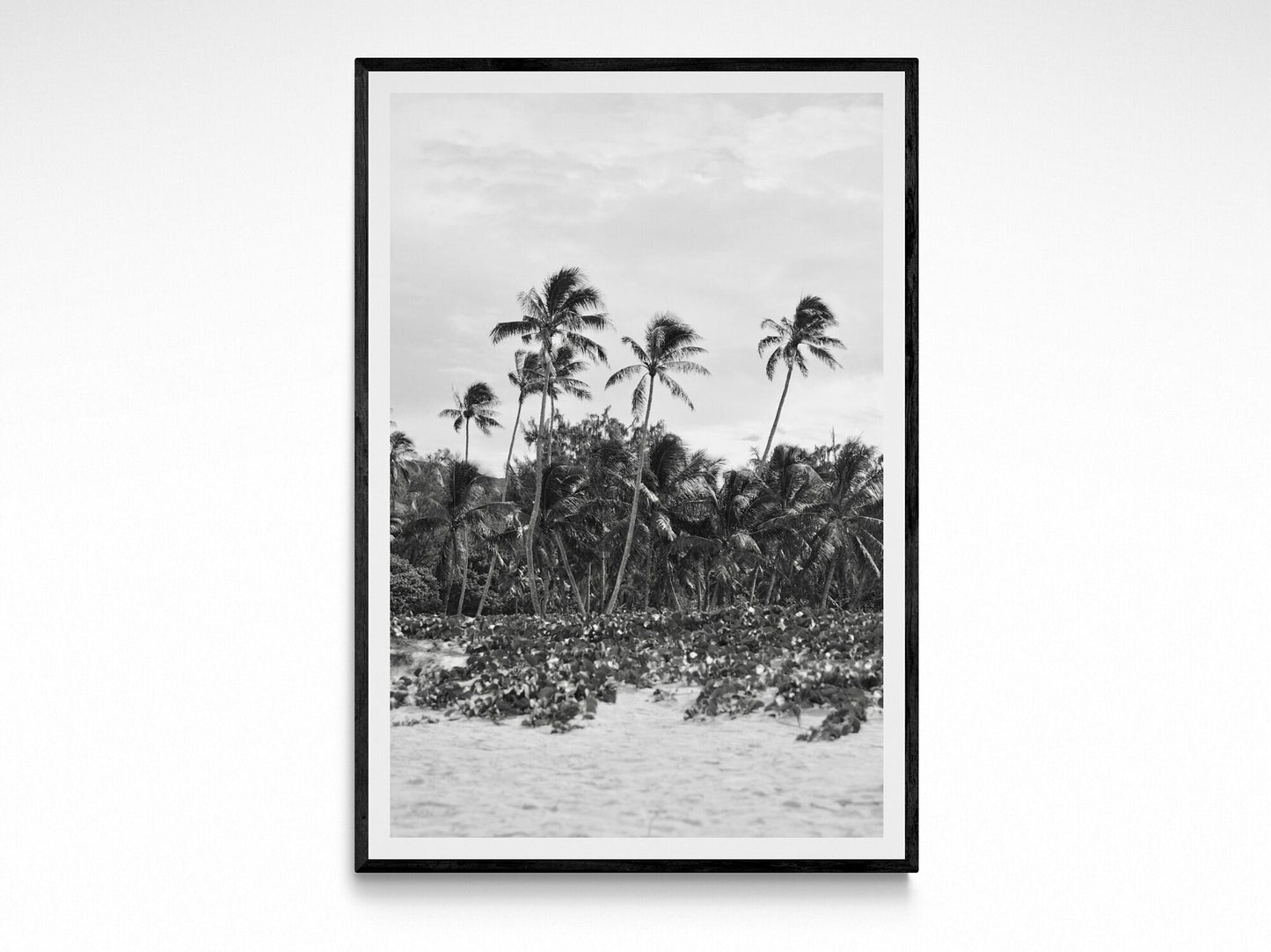 Hawaii Beach Palm Trees