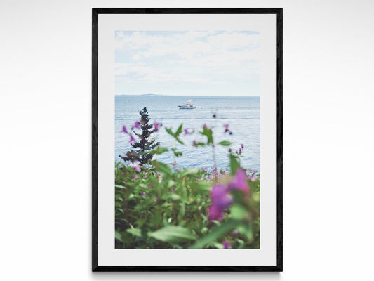 Boat & Summer Flowers